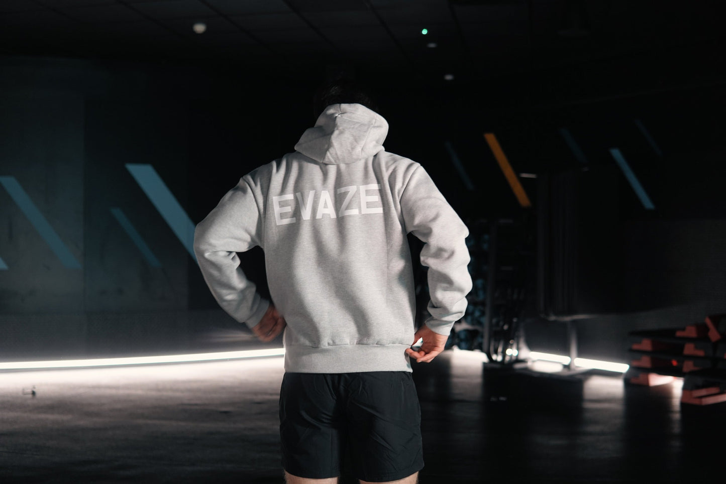 Grey Evaze Heavyweight Unisex Hoodie.